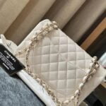 bluegisse replica louis vuitton gucci chanel dior (3)