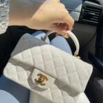 bluegisse replica louis vuitton gucci chanel dior (4)