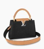 Louis Vuitton CAPUCINES MM