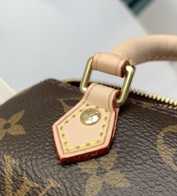 Louis Vuitton NANO SPEEDY