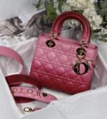 Small Lady Dior My Abcdior Bag Gradient Handbags