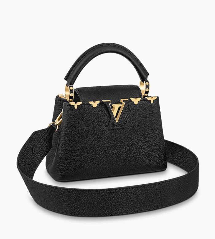 Louis Vuitton CAPUCINES MINI