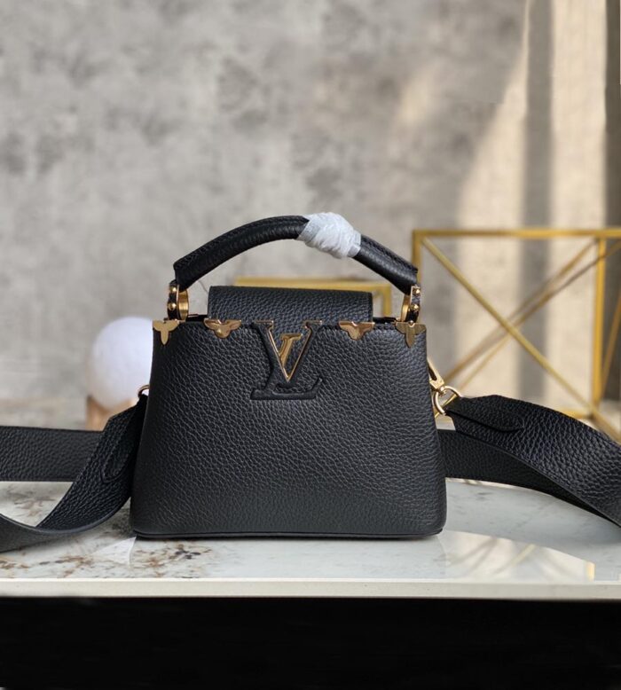 Louis Vuitton CAPUCINES MINI