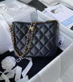 chanel small hobo bag (12)