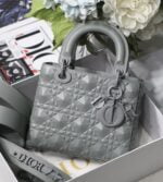 small lady dior my abcdior bag (19)