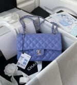 chanel small classic handbag (10)