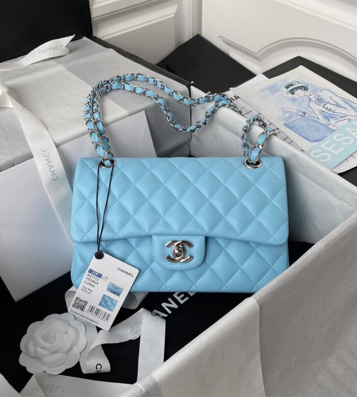 chanel small classic handbag (19)