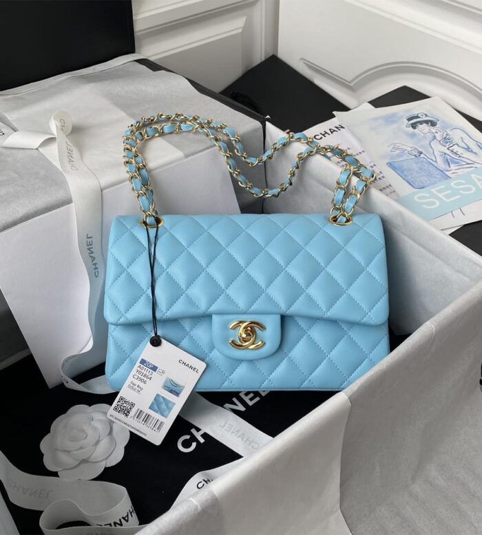 chanel small classic handbag (28)