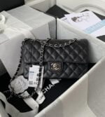 chanel small classic handbag a01113y (55)