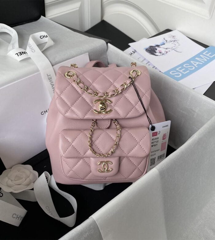 chanel backpack as2908 (28)