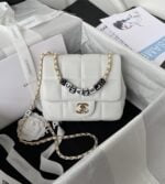 chanel soccer collection handbags (28)