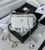 chanel vanity chain shoulder bag ap1341 (10)