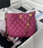 chanel hobo underarm bag as3400 (19)