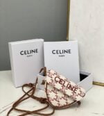 mini triangle in triomphe canvas with celine print (16)