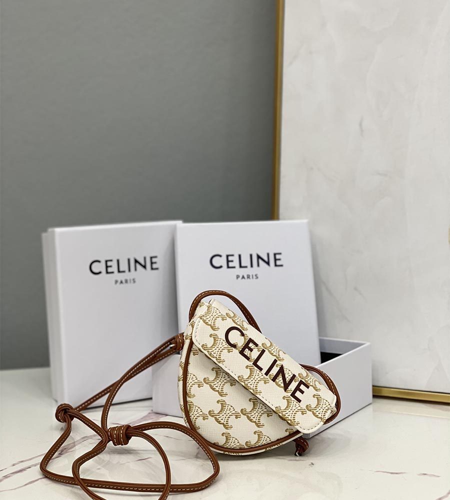 Celine triangle bag discount in triomphe canvas