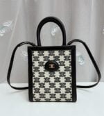 mini vertical cabas celine in textile with celine print and calfskin (19)