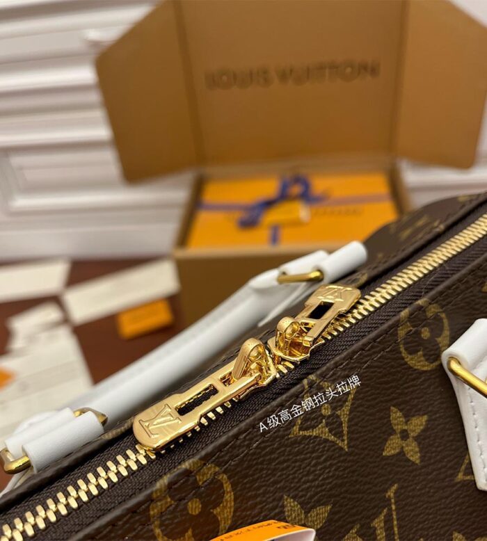 louis vuitton speedy bandouliÈre 25 (13)