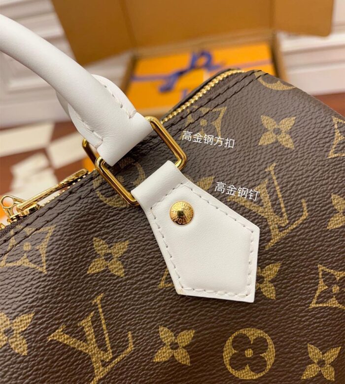 louis vuitton speedy bandouliÈre 25 (18)