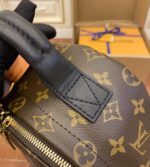 louis vuitton palm springs pm (16)