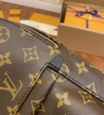 louis vuitton palm springs pm (17)