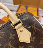 louis vuitton speedy bandouliÈre 20 m45948 (11)