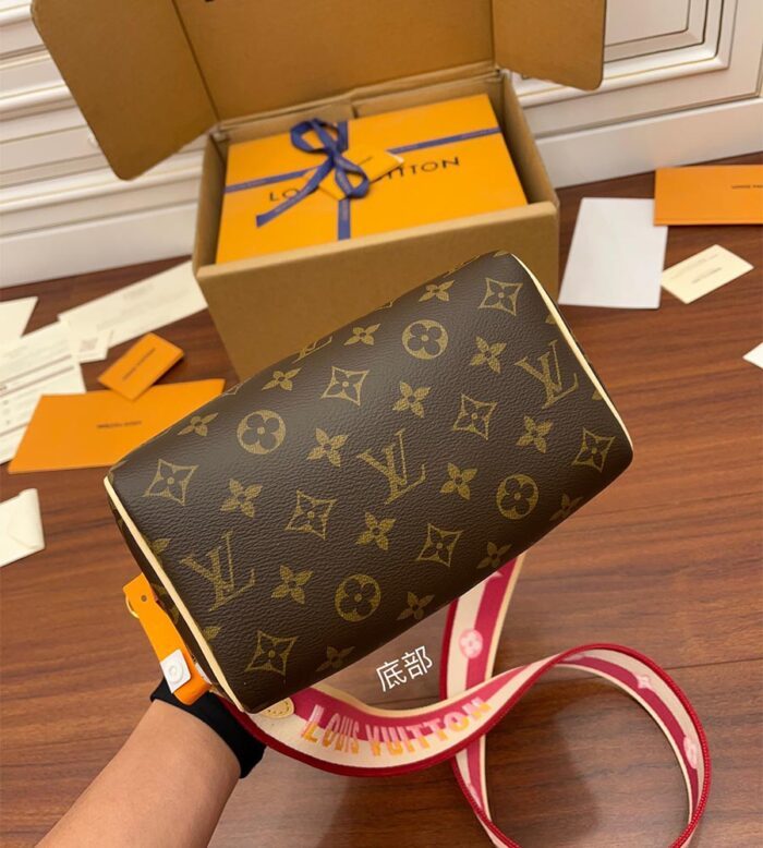 louis vuitton speedy bandouliÈre 20 m45948 (4)