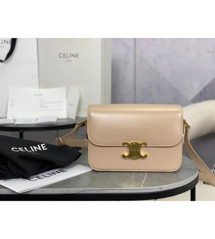 celine classique triomphe bag in shiny calfskin (6)