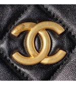 chanel hobo handbag (3)