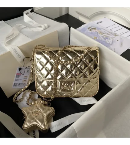 chanel mini flap bag & star coin purse (1)