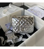 chanel mini flap bag & star coin purse (10)