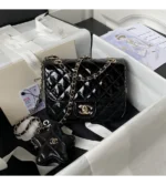 chanel mini flap bag & star coin purse (19)