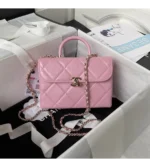 chanel small box bag (19)