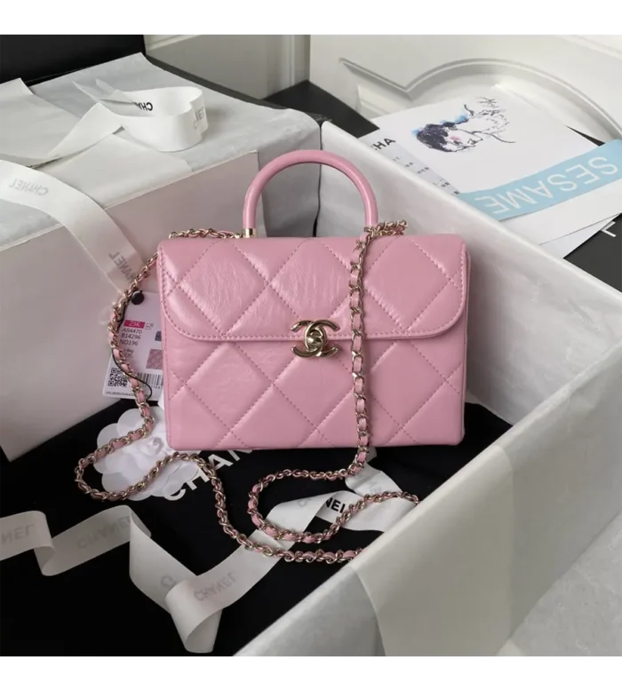 chanel small box bag (19)