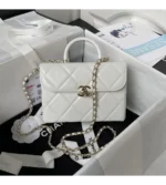 chanel small box bag (28)