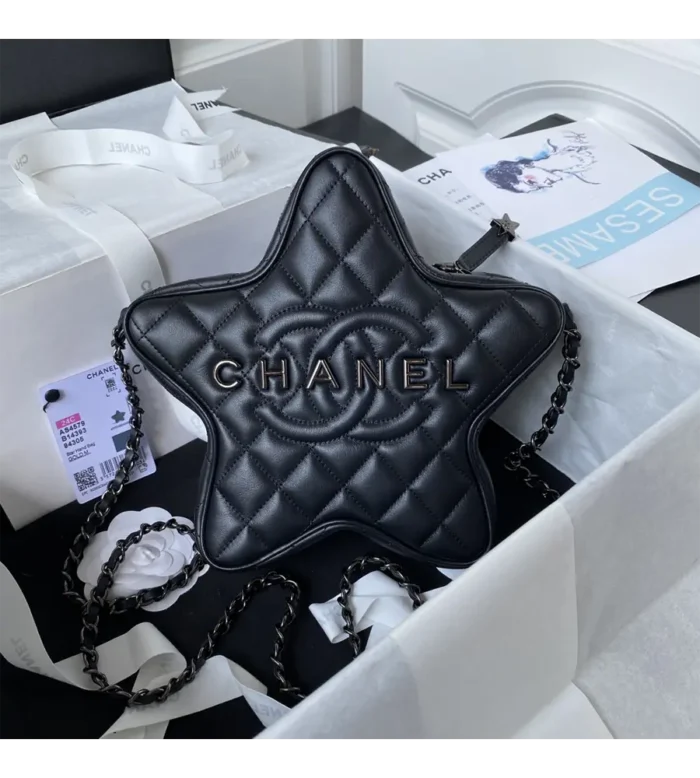 chanel star handbag (2)