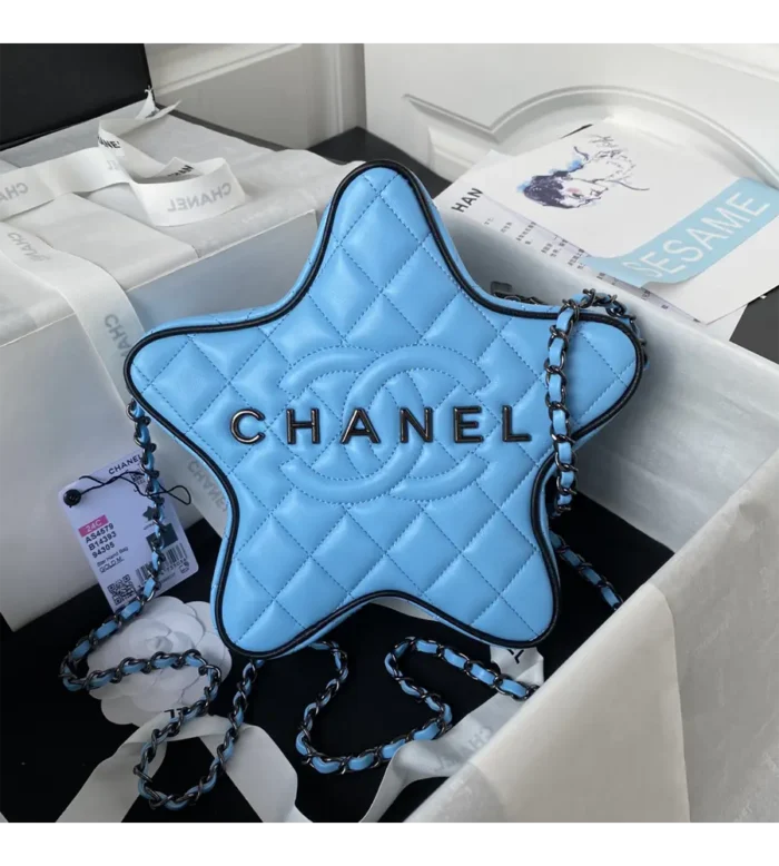 chanel star handbag (20)