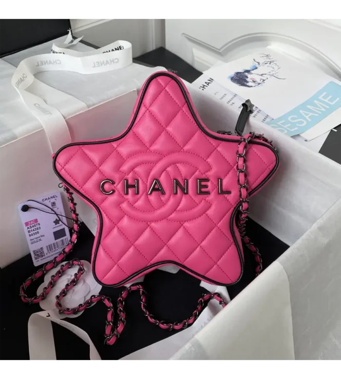 chanel star handbag (29)