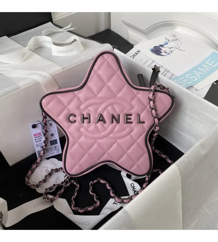 chanel star handbag (38)