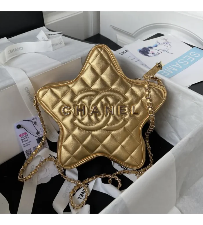 chanel star handbag (47)