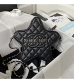 chanel star handbag (74)