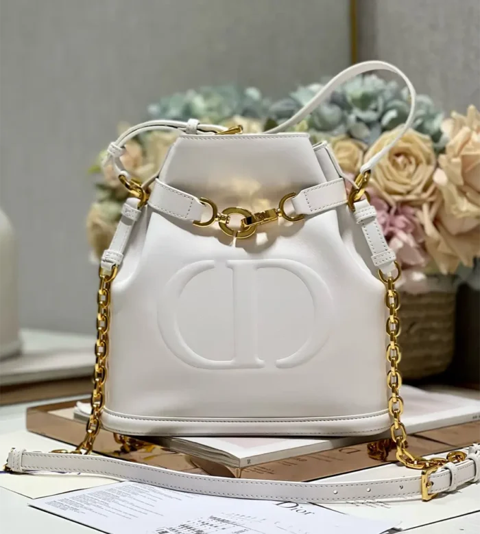 dior medium c'est dior bag (1)