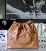 chanel 23a 22 bag authentic quality(146)