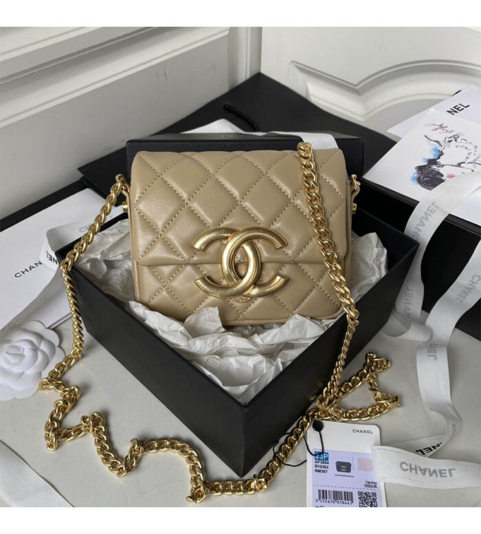 chanel mini flap bag as3854 (10)