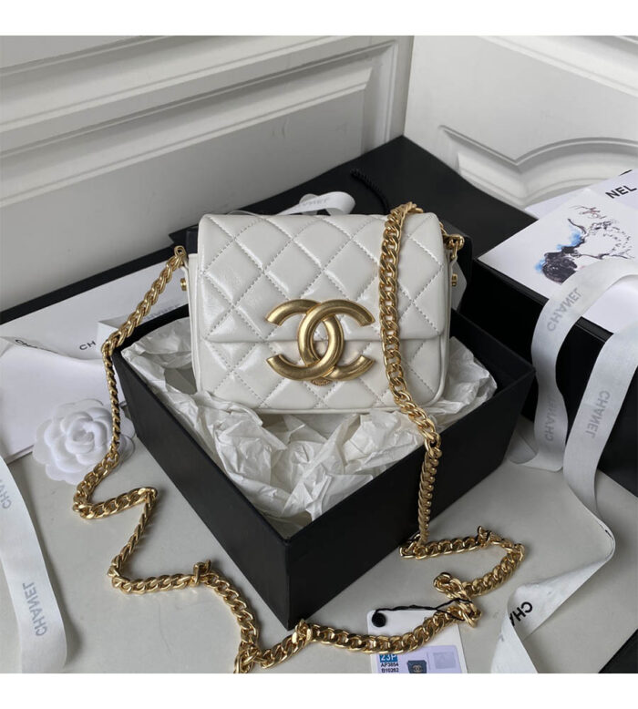 chanel mini flap bag as3854 (19)