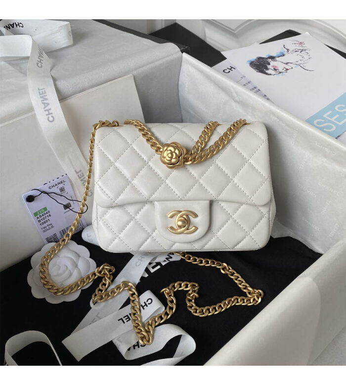 chanel mini flap bag as4040 (1)