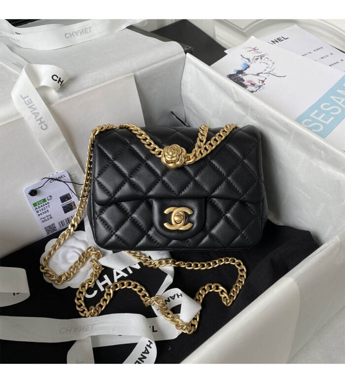 chanel mini flap bag as4040 (19)