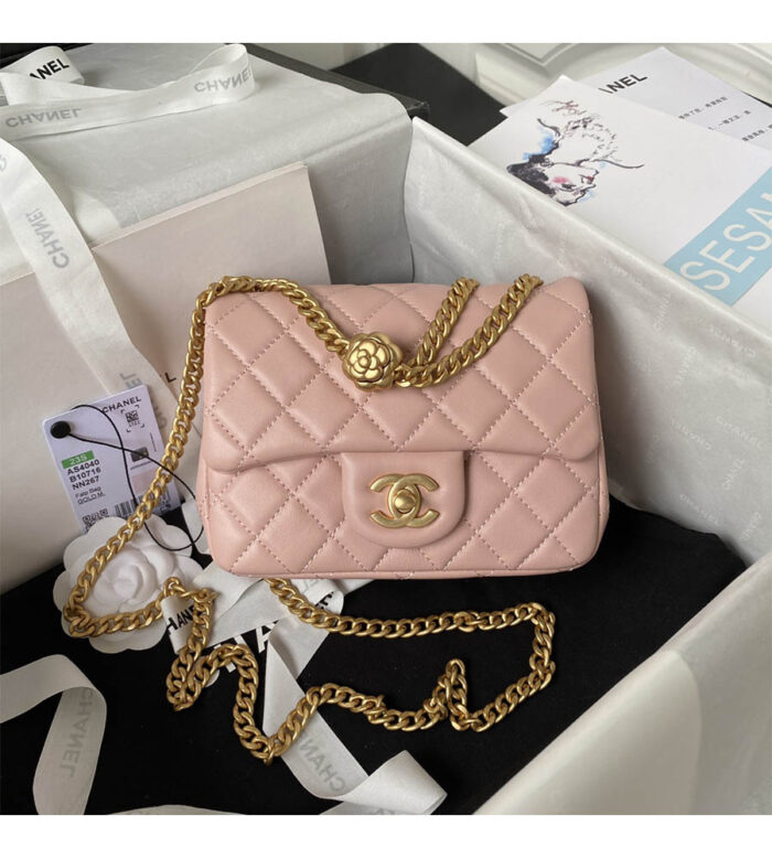 chanel mini flap bag as4040 (28)