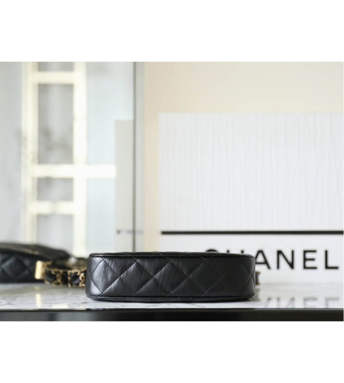 chanel small 19 hobo (13)