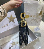 dior saddle bag counter edition (2)