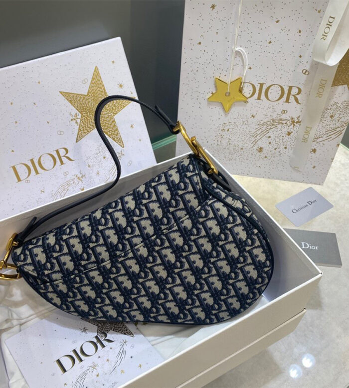 dior saddle bag counter edition (3)